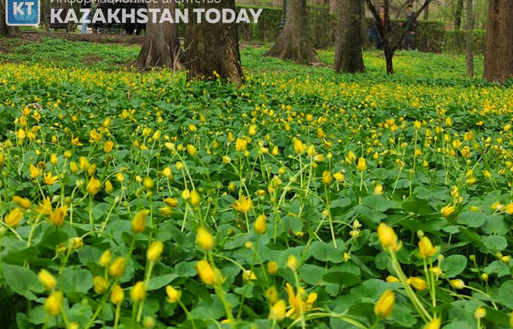 35 degrees Celsius heat to grip Kazakhstan