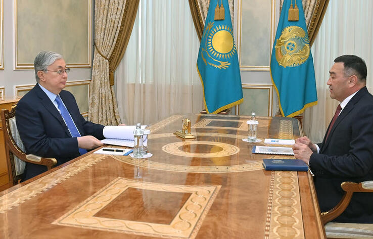 Head of State briefed on realization of his tasks regarding NSC's reformation