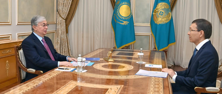 Head of State receives CEC Chairman Nurlan Abdirov