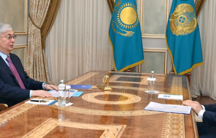 Head of State receives CEC Chairman Nurlan Abdirov