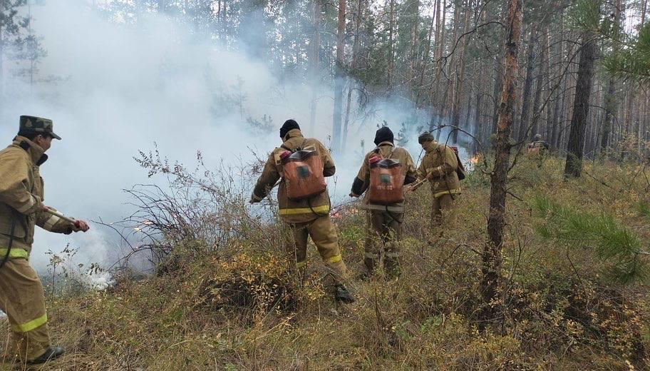 Природный пожар в Костанайской области локализован 