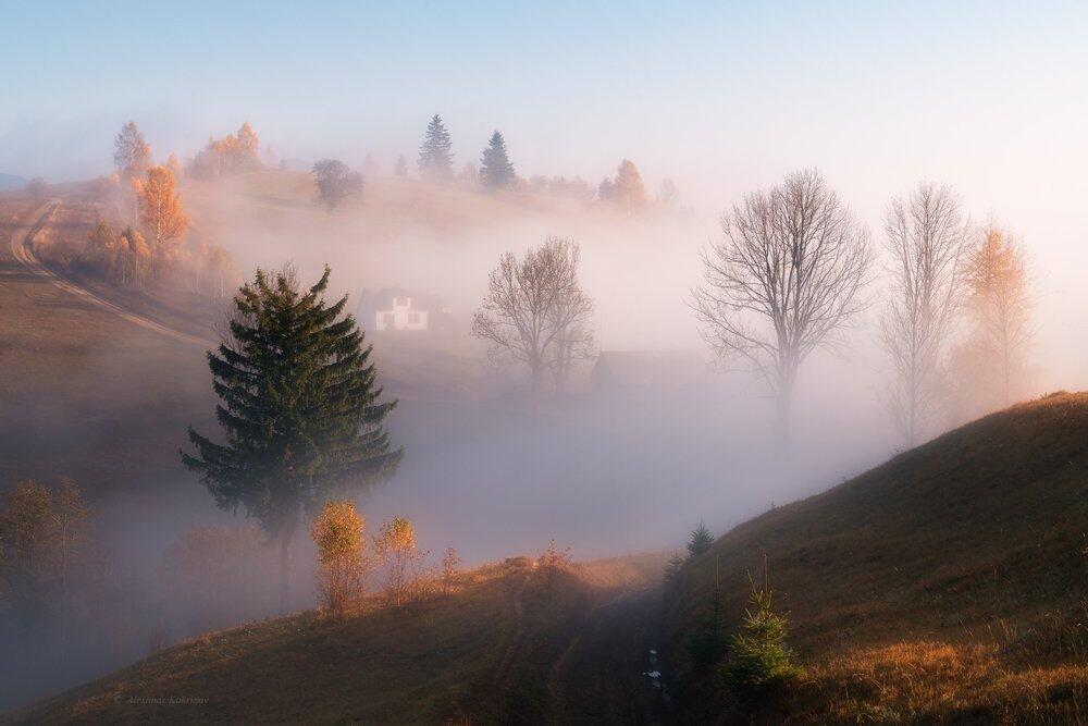 Colors of autumn. Images | 35photo.pro Copyright by Александр Кукринов