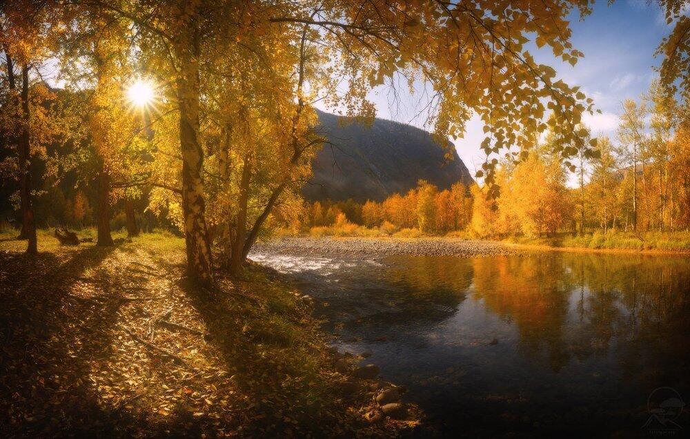 Colors of autumn. Images | 35photo.pro Copyright by Анатолий Гордиенко