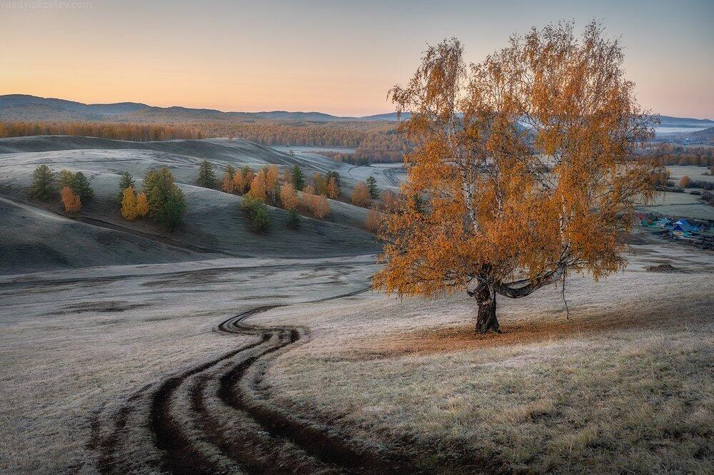 Colors of autumn. Images | 35photo.pro Copyright by Василий Яковлев