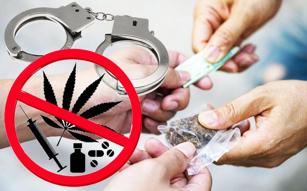 О наркопосевах и возможности легализации марихуаны в РК рассказали в МВД