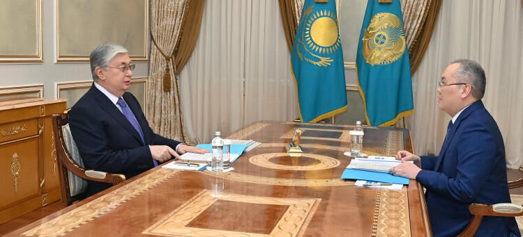 Tokayev meets with Financial Monitoring Agency Chairman Zhanat Elimanov