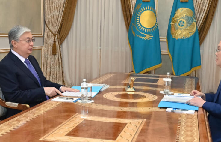 Tokayev meets with Financial Monitoring Agency Chairman Zhanat Elimanov