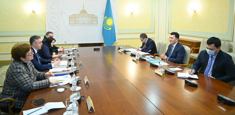 Kazakh State Counselor Yerlan Karin meets with German parliamentarians