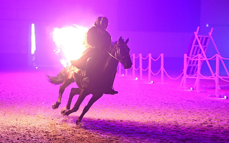 Nomad Stunts Horse Rider Show celebrates Nauryz spring holiday. Images | telegram / aqorda_resmi