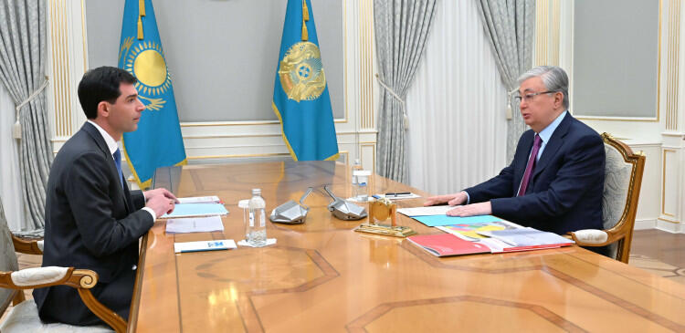 Kazakh President meets with Allur Group Chairman Andrey Lavrentyev