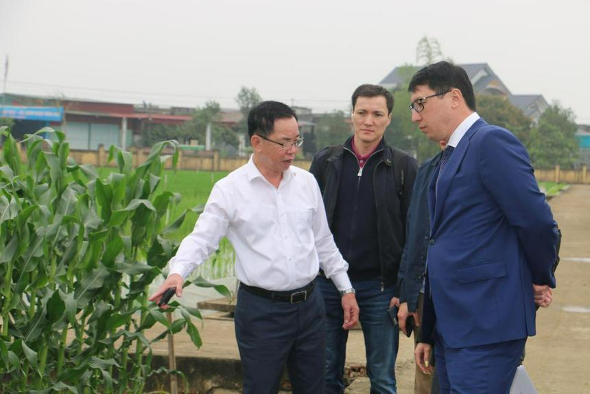 Kazakhstan to cultivate Vietnam’s rice