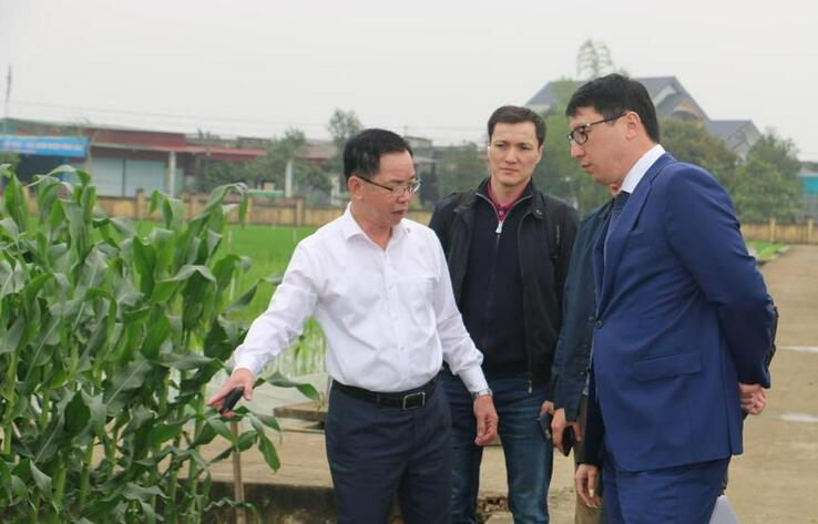 Kazakhstan to cultivate Vietnam’s rice