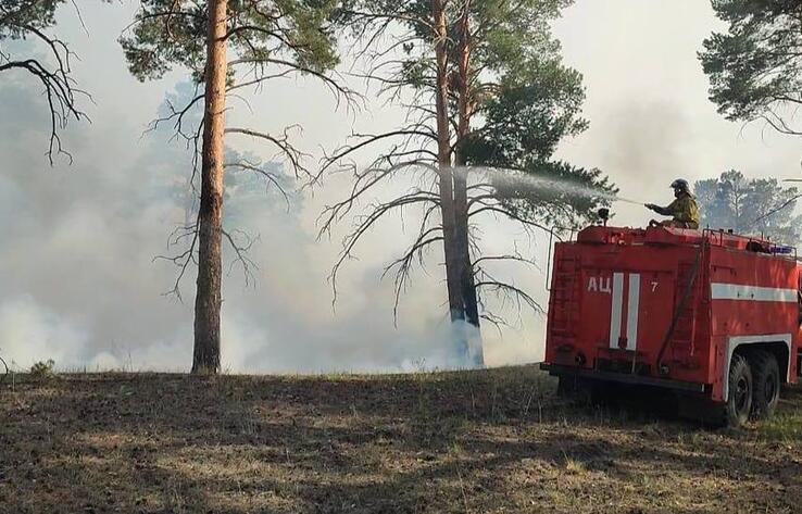 Firefighters manage to bring wildfire in Abai region under control