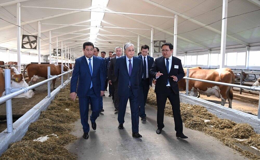 Tokayev urges to make Kazakhstan self-sufficient in dairy products