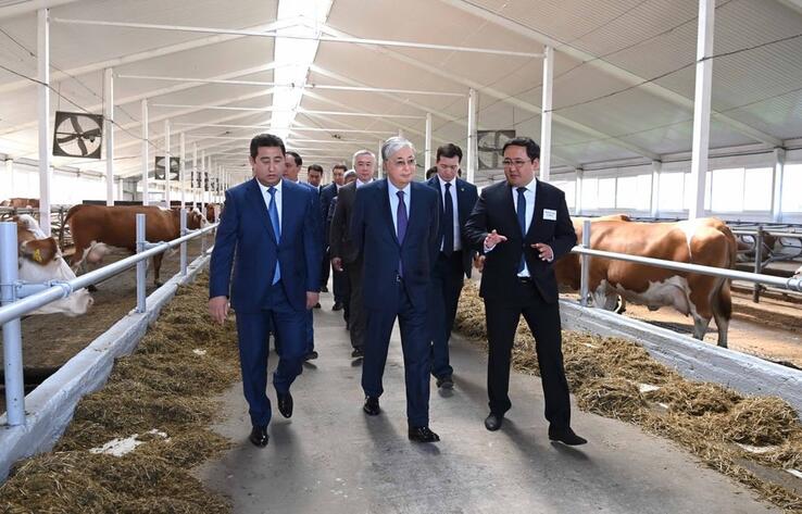 Tokayev urges to make Kazakhstan self-sufficient in dairy products