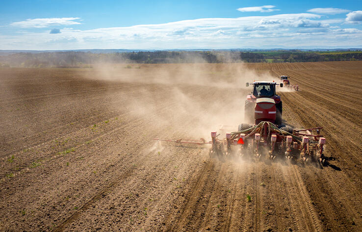 Sowing season 2023: Kazakhstan increases potato, sugar beet and rice crops