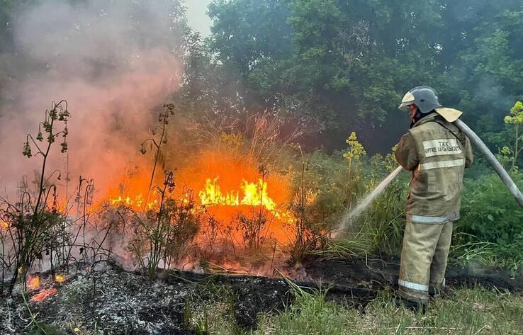 Абай ауданында ірі орман өрті сөндіріліп жатыр