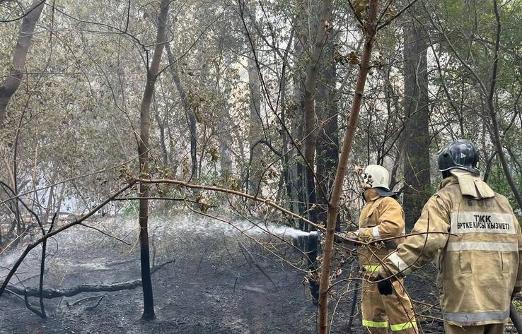 Kazakh President tasks Emergency Situations Minister to lead efforts to fight wildfires in Abai rgn