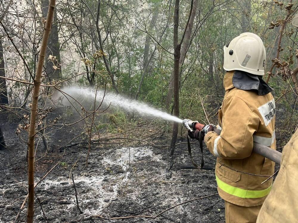 Fire threat remains high across Kazakhstan