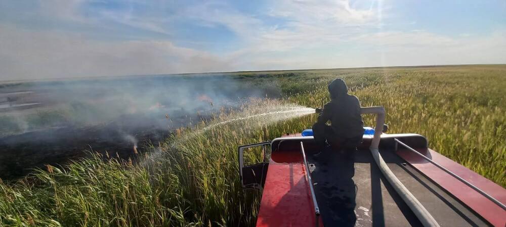 В Абайской области потушили возгорание камыша