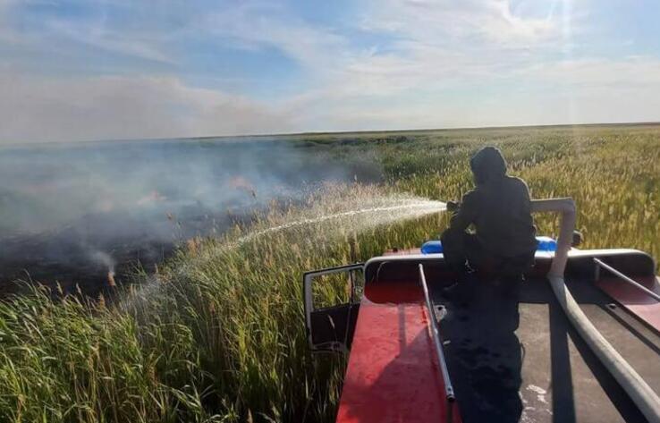 Абай облысында өртенген қамыс өрті сөндірілді