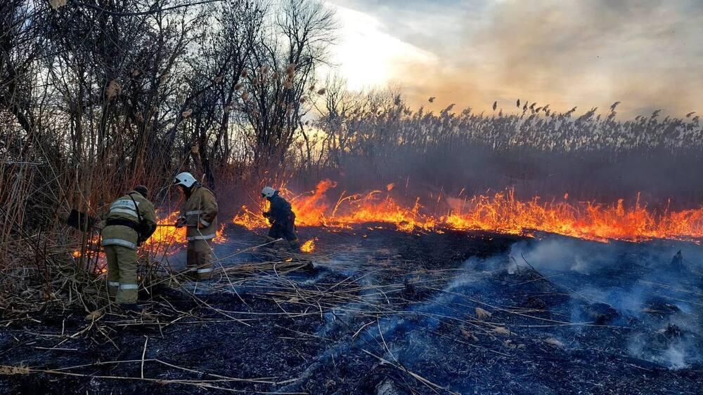 Атырау облысында 5 га аумақтағы қамыс өрті сөндірілді