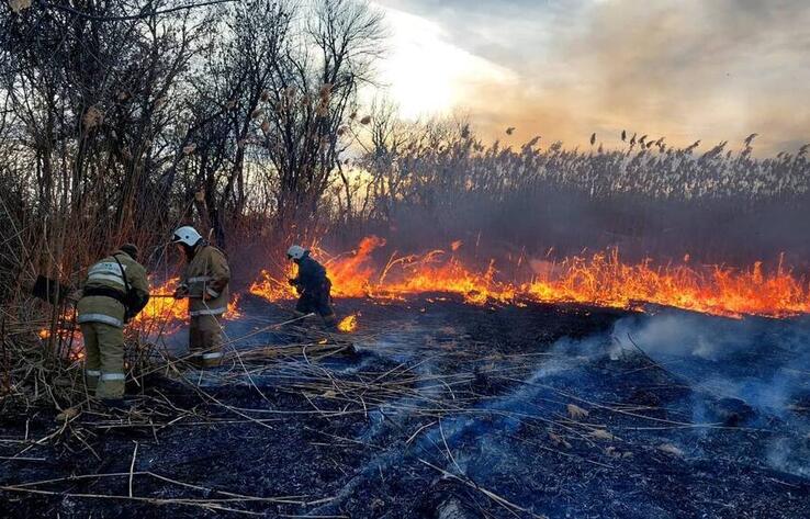 Атырау облысында 5 га аумақтағы қамыс өрті сөндірілді