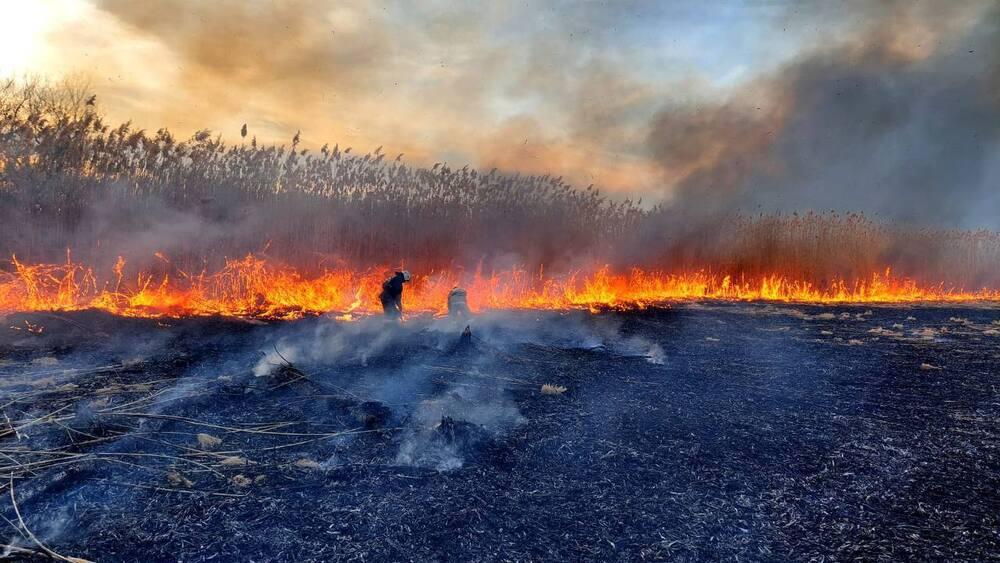 Іле-Балқаш резерватындағы табиғи өрт сөндірілді