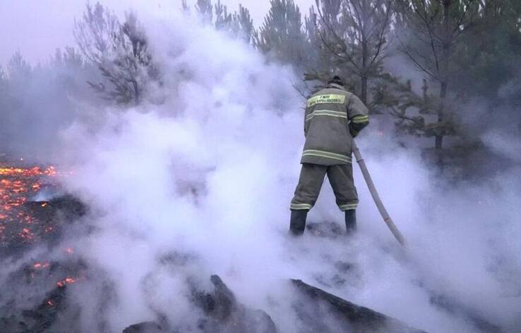 Wildfires in Pavlodar rgn: State of emergency set to be declared in 3 rural areas