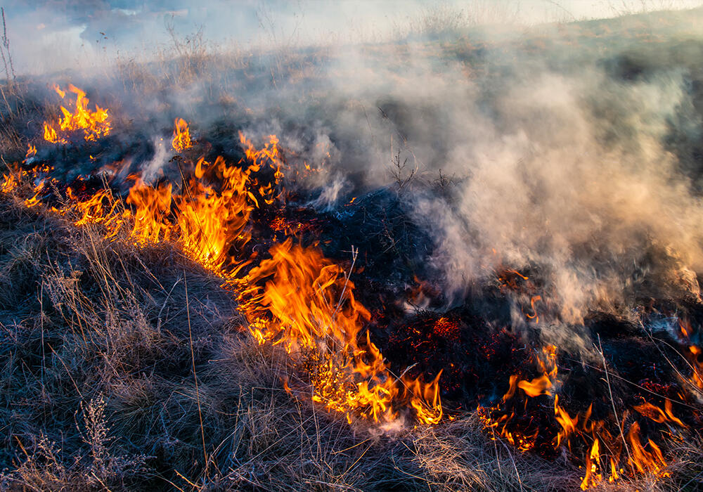 Mountain fire contained in Zhambyl region