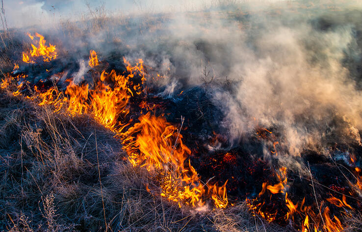 Mountain fire contained in Zhambyl region