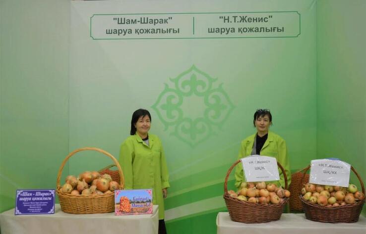 8.8 thousand tons of onions contracted from farmers by regional Social and Entrepreneurial Corporation