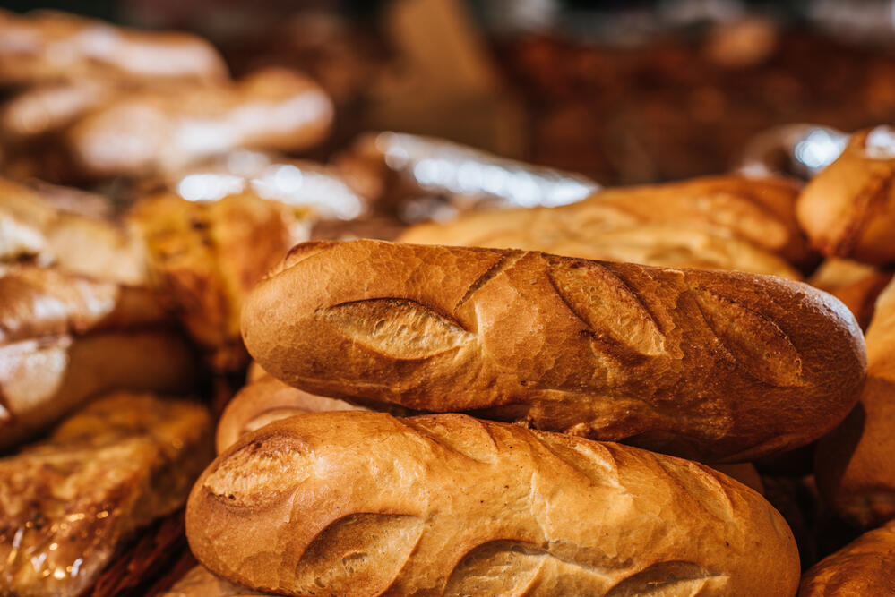 Kazakhstan has fully provided itself with bread and flour