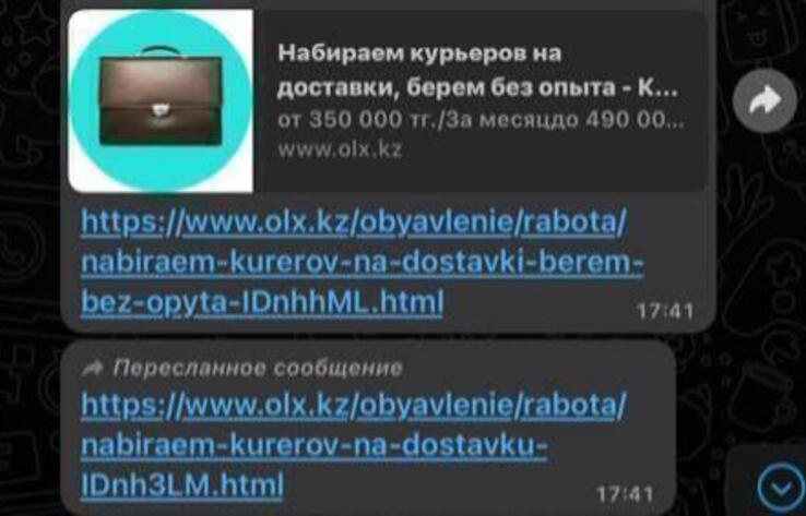 Жыл басынан бері Қазақстанда есірткі таратқан үш мыңға жуық интернет-ресурстар анықталды