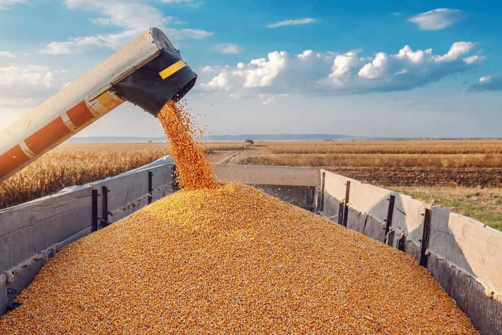 Kazakhstan to reduce grain exports