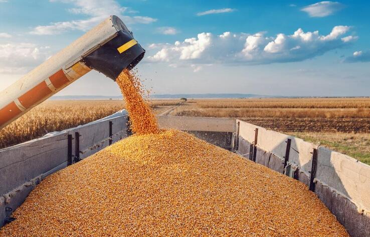 Kazakhstan to reduce grain exports