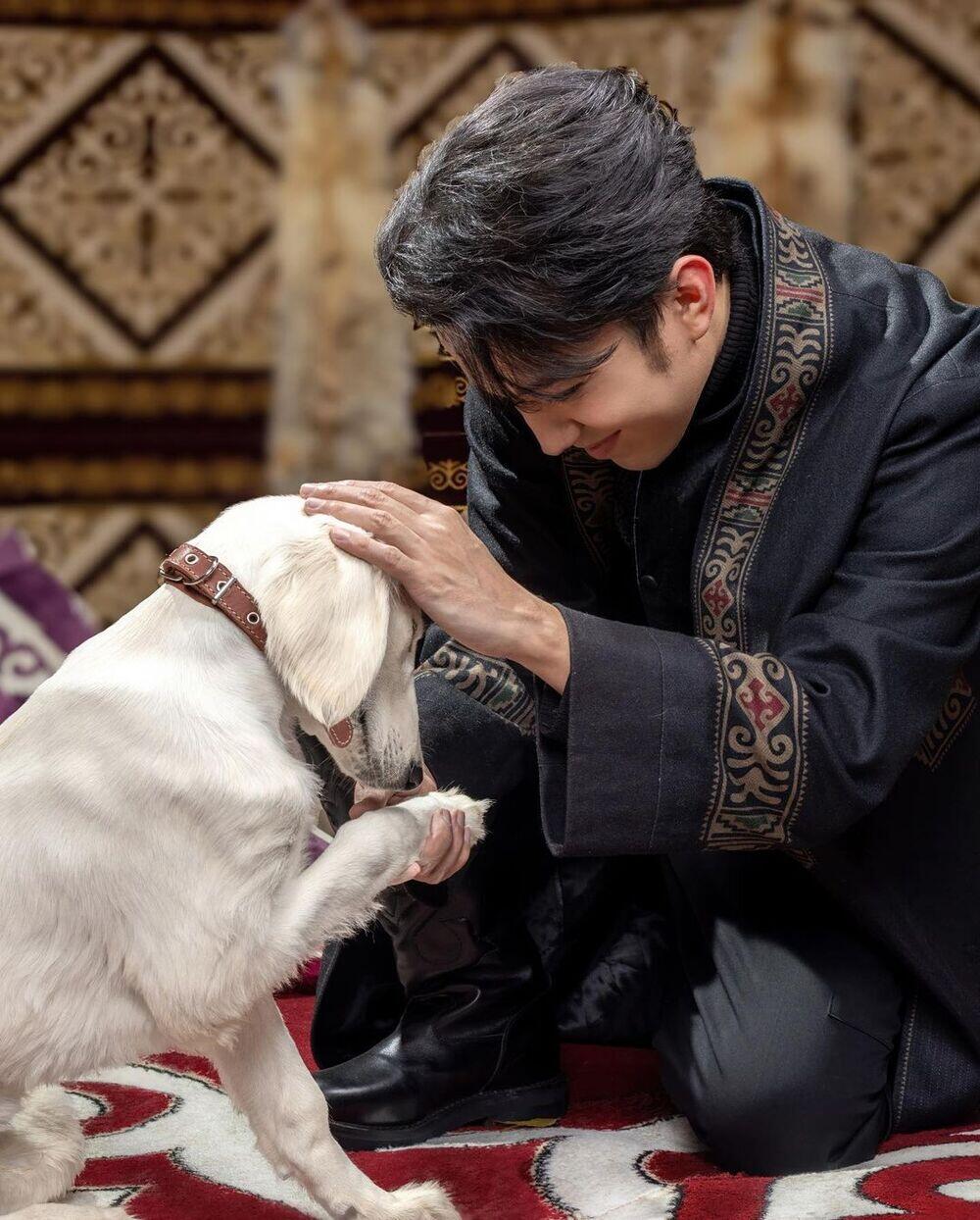 Tokayev presents Dimash Kudaibergen with Tazy puppy. Images | Instagram/kudaibergenov.dimash