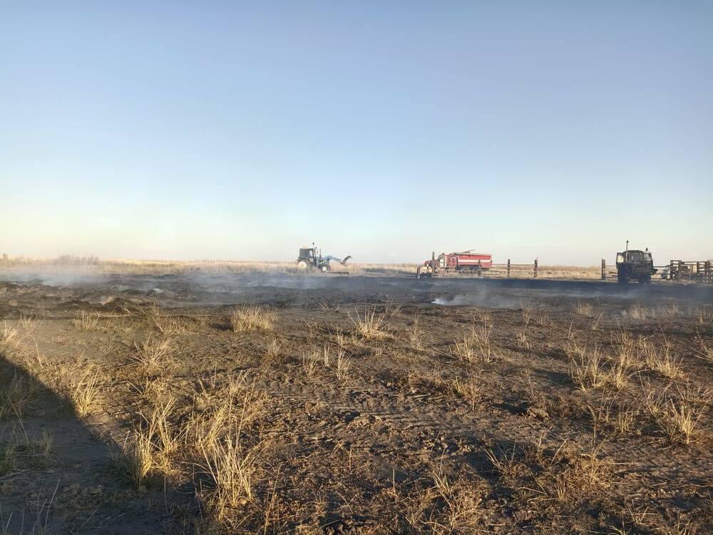 Абай облысында сіріңкемен ойнаған балалар 82 тонна шөпті өртеп жіберді