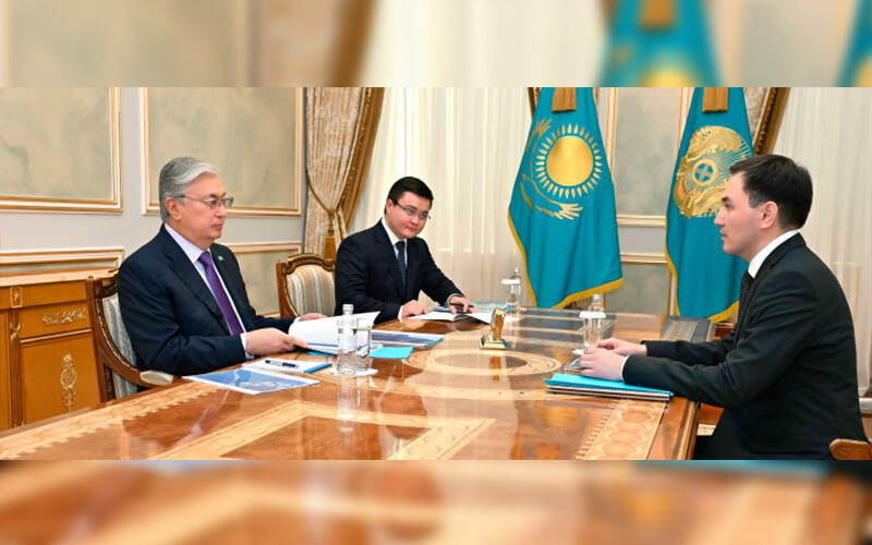 Kazakh President meets with Chairman of Agency for Strategic Planning and Reforms Zhandos Shaimardanov