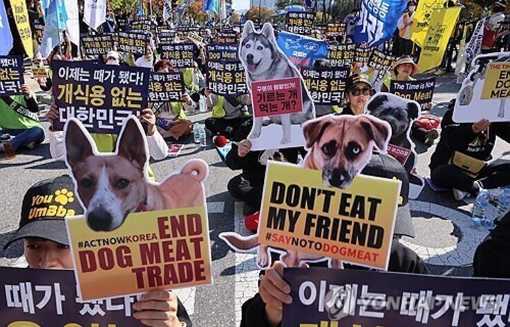 Parliamentary committee passes bill to end dog meat distribution, consumption