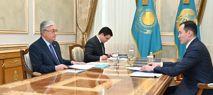 Kazakh Head of State holds meeting with QazaqGaz chairman Sanzhar Zharkeshov