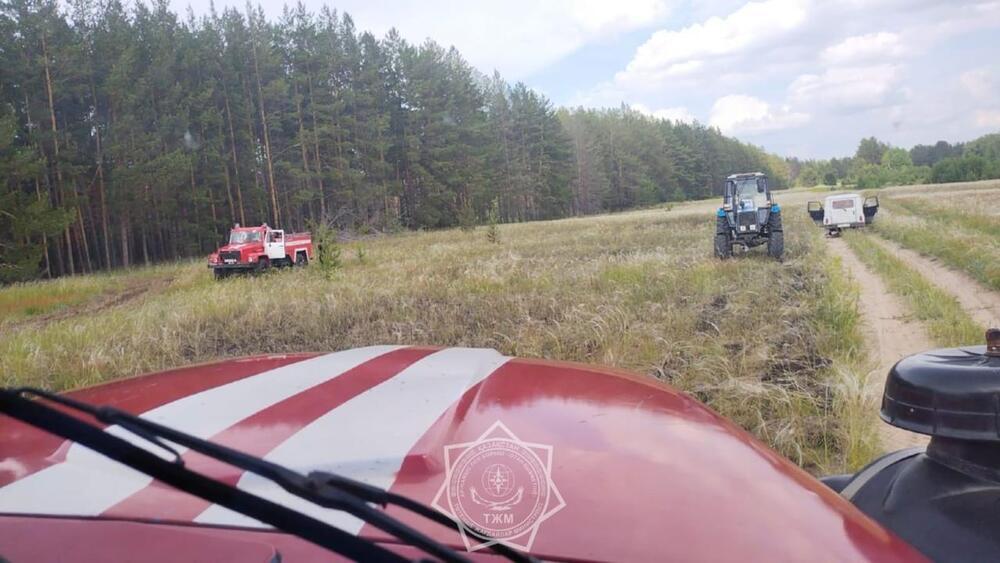 Пожар произошел в резервате "Семей орманы"