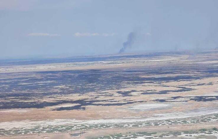 Huge fire engulfs reed beds in Ile Balkhash reserve
