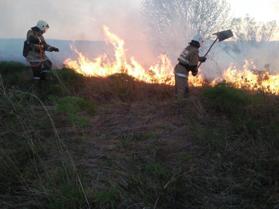 В ВКО зарегистрировано 6 лесных и 12 степных пожаров