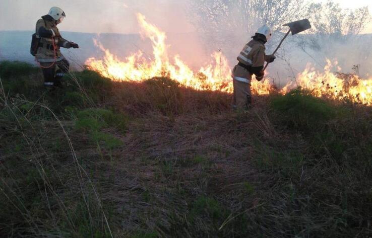 В ВКО зарегистрировано 6 лесных и 12 степных пожаров