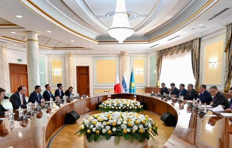 Kazakhstan and OSCE Confirm Course Towards Constructive Interaction and Strengthening of Organization