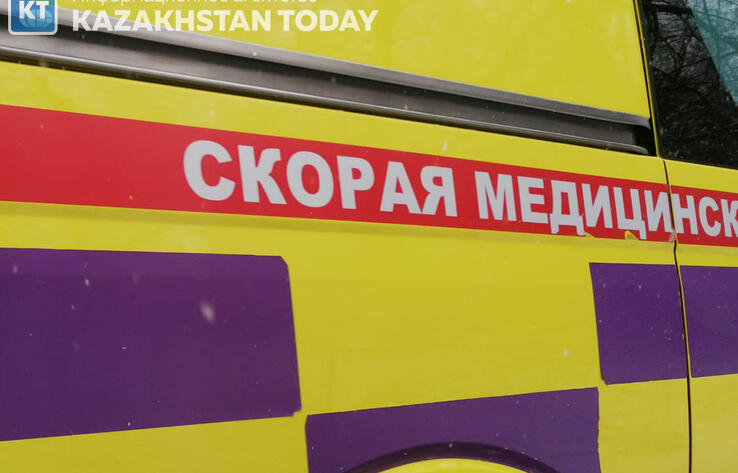 Четверо погибли при столкновении автомобиля с деревом в Алматы
