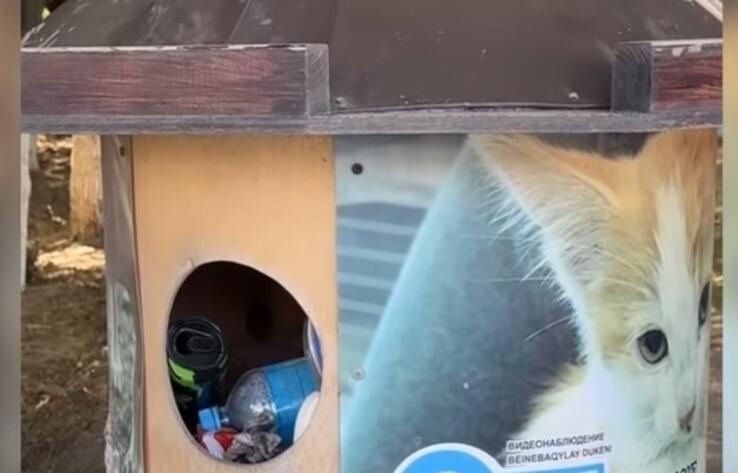 Кормушки для бездомных животных превратились в мусорные баки в Атырау