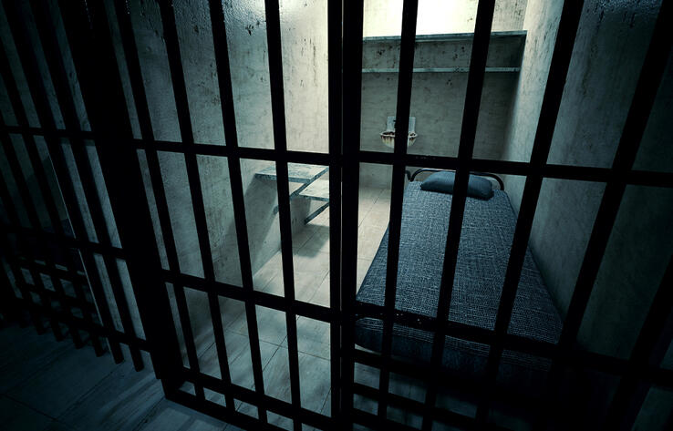 Жителя Абайской области приговорили к пожизненному лишению свободы по делу об истязании и убийстве ребенка
