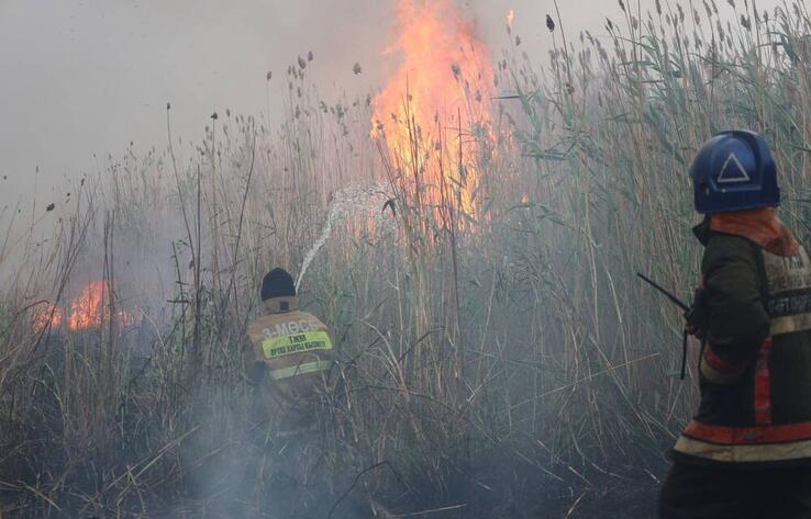 Пожар близ озера Талдыколь в Астане ликвидировали